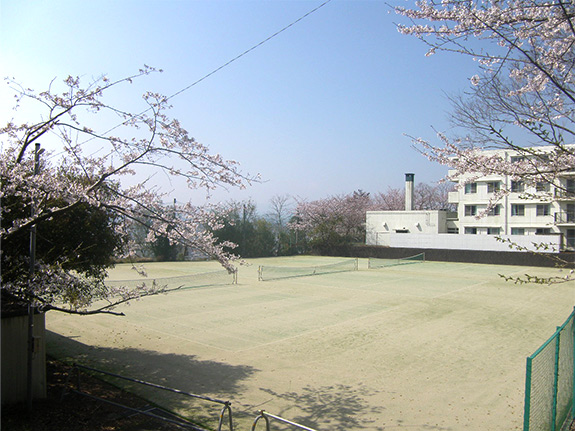 静岡聖光学院テニスコート改修工事